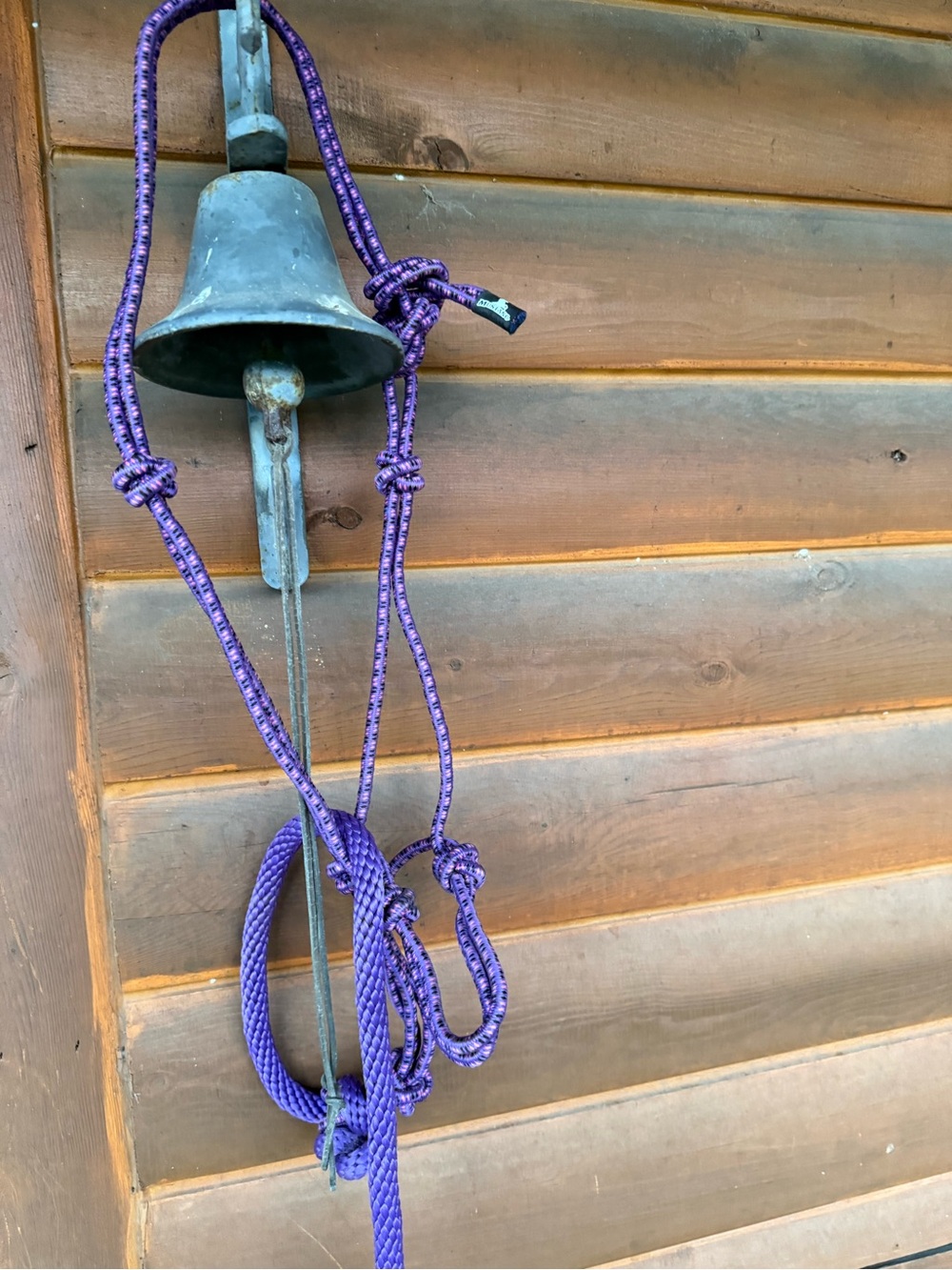 Mustang rope halter with leadrope
